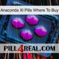 Anaconda Xl Pills Where To Buy 04